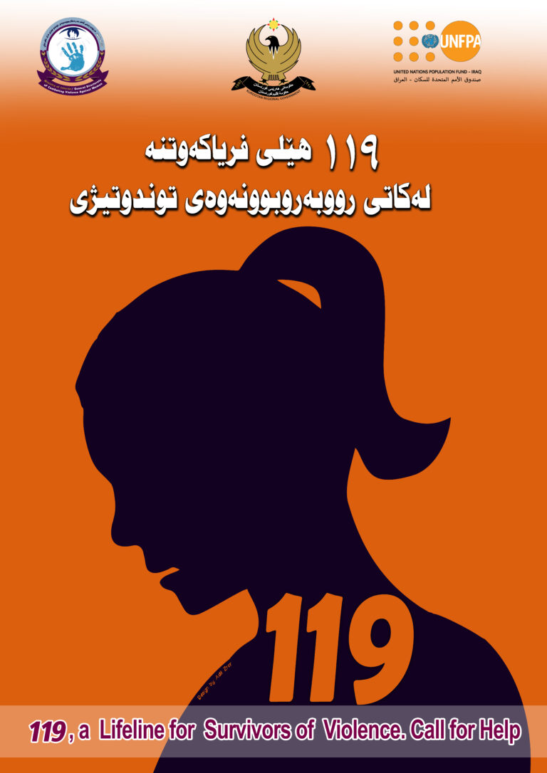 Combating violence against women and the end of the spoon-feeding ...