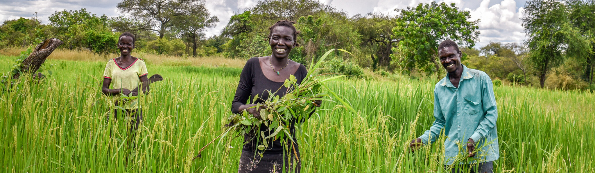 Building Sustainable Livelihoods through Climate-Resilient Agriculture ... - Sustainable Livelihoods For Environmental Refugees