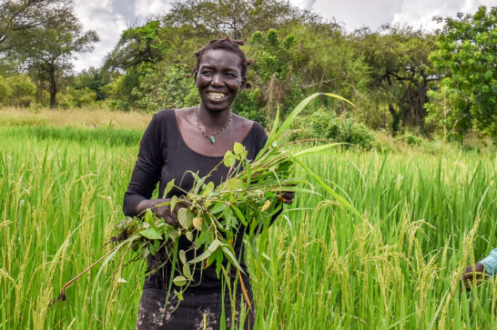 Ugandan farmers.