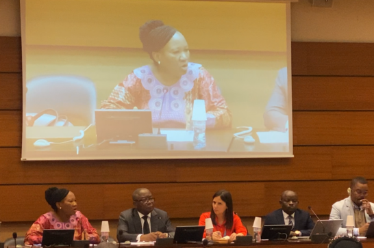 African human rights delegates at a conference in Geneva.