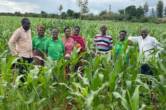 Rwandan farmers posing in their field.
