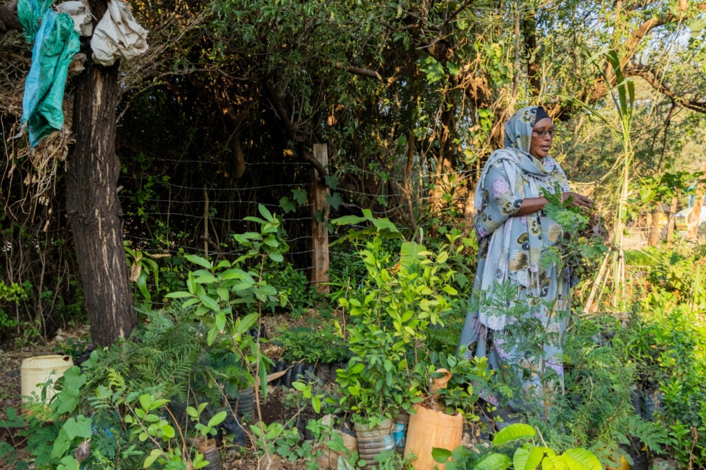 A Kenyan female farmer at work in her garden.
