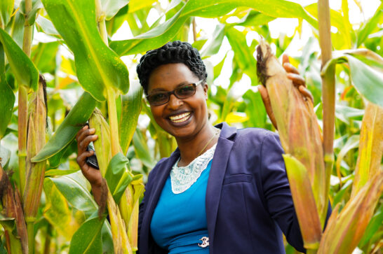 woman standing in a maize field with fully grown corn stalks