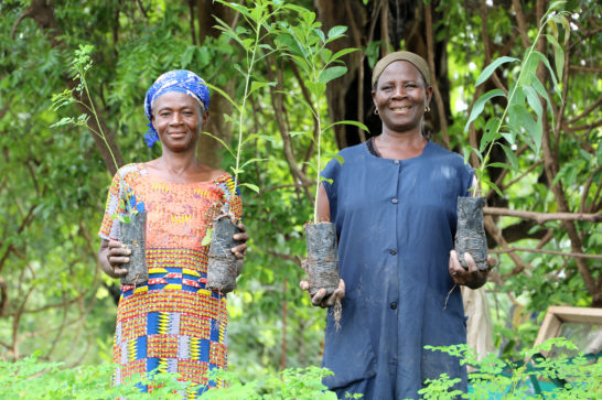 two women standing in lush green setting showing seedlings