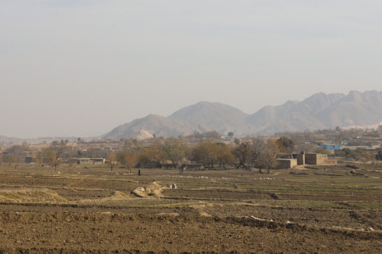 Farm land in the Afghan province of Nangarhar.