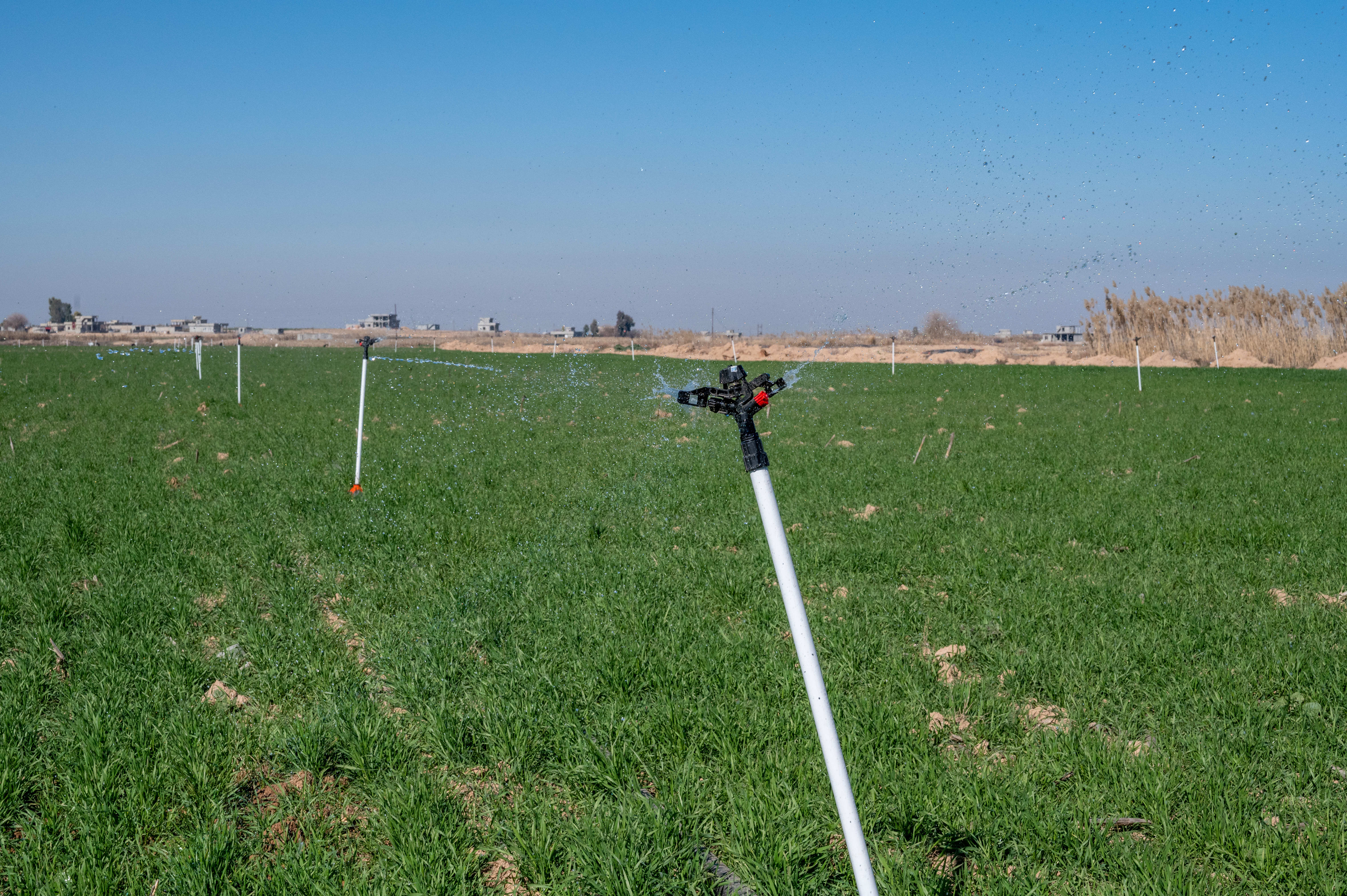 sprinkler water field