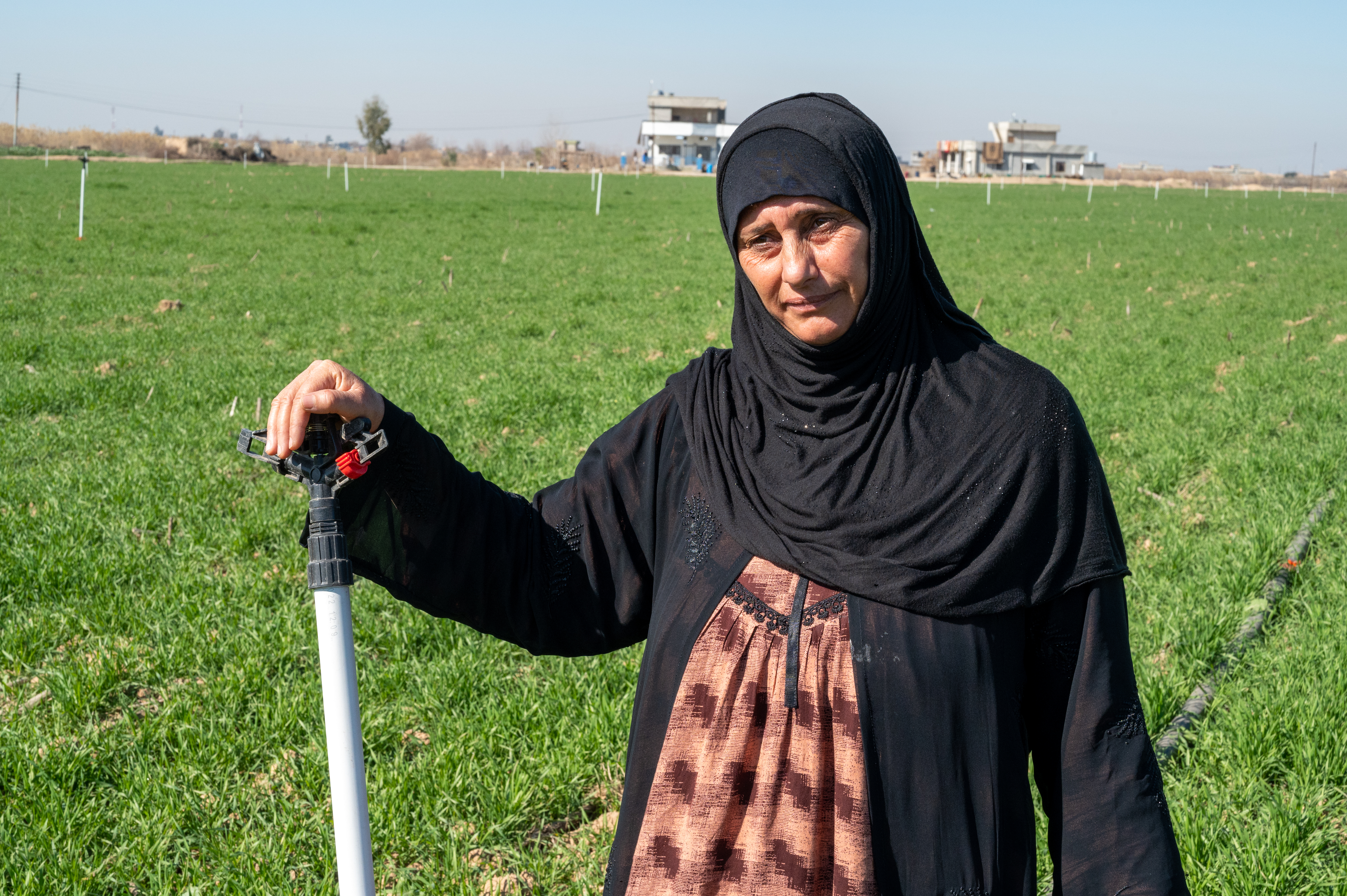 woman in field