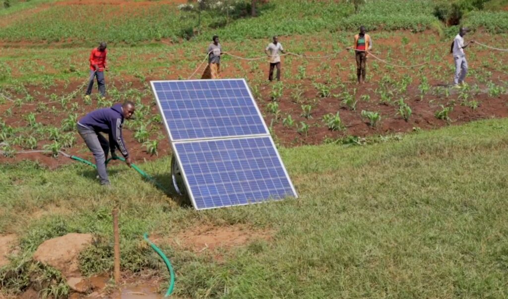 Rwandese youth participating in Cordaid's Starlit project for youth engagement in agriculture.