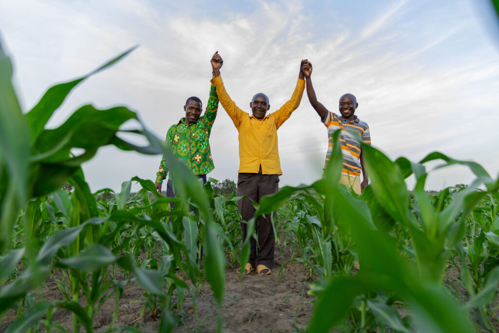 Farmers in Rwanda