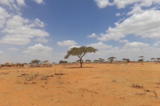 Arid land in southern Ethiopia.