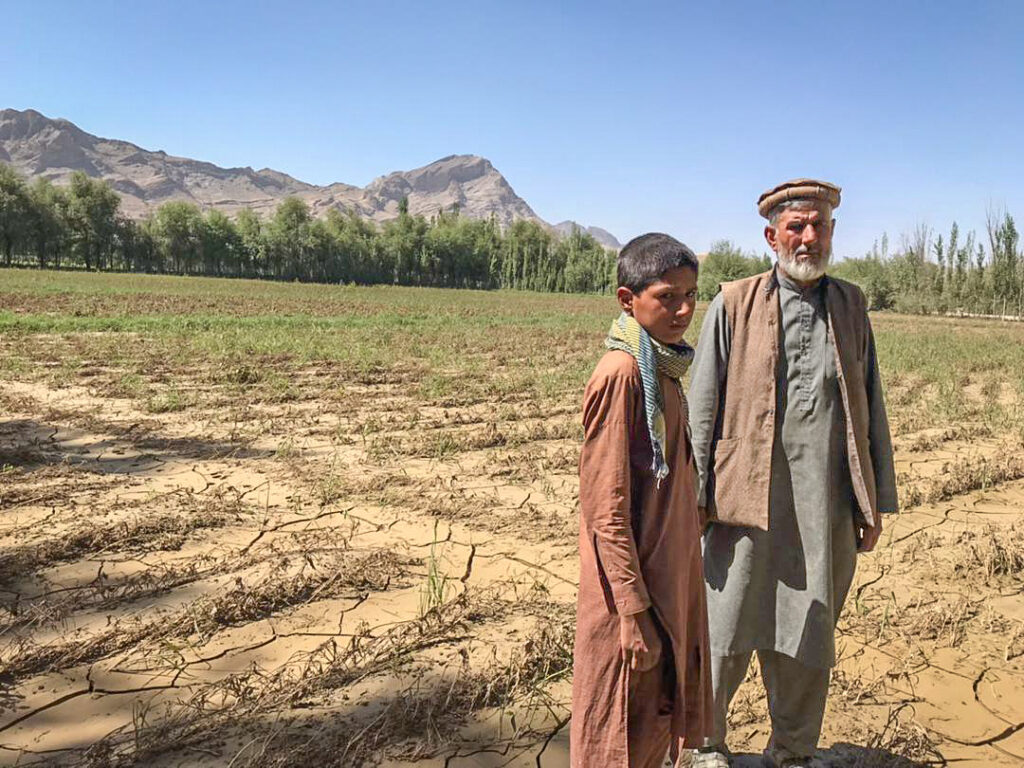Afghan farmers in their field.