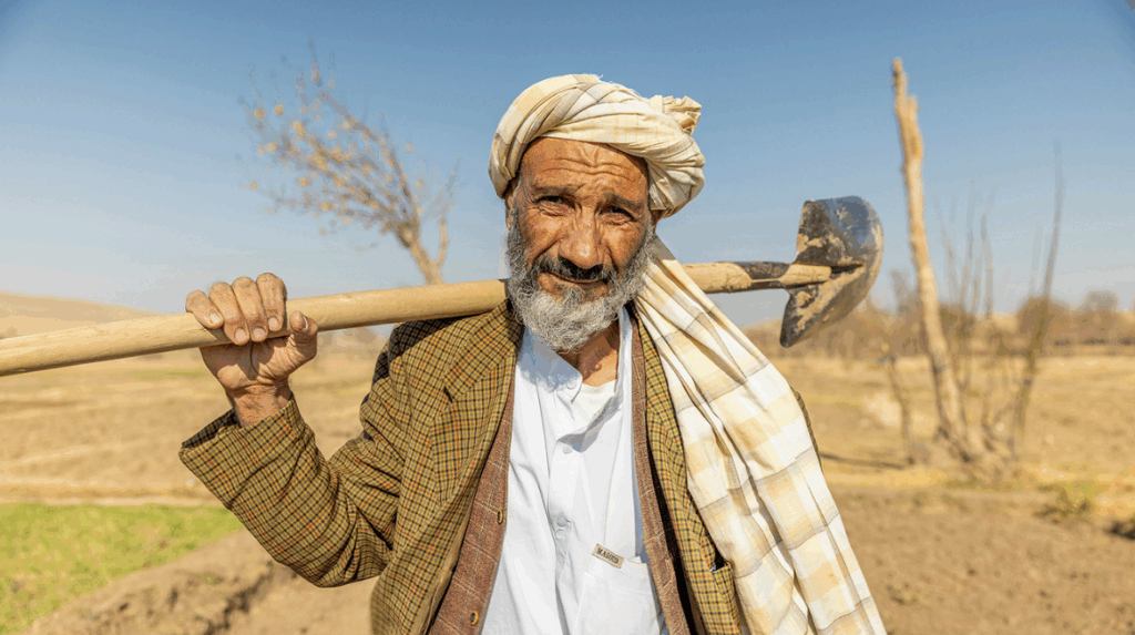 Boer op zijn land in Aghanistan heeft dankzij hulp Cordaid waaronder droogte resistente zaden weer goede oogst.
